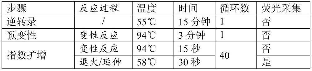 Freeze-drying protective agent and application thereof in nucleic acid amplification reagent