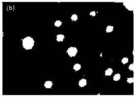 Preparation method and application of nerve growth factor controlled-release nano-carrier