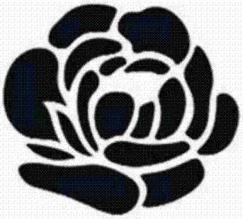 Printing method of printed matter with radial laser 3D pattern