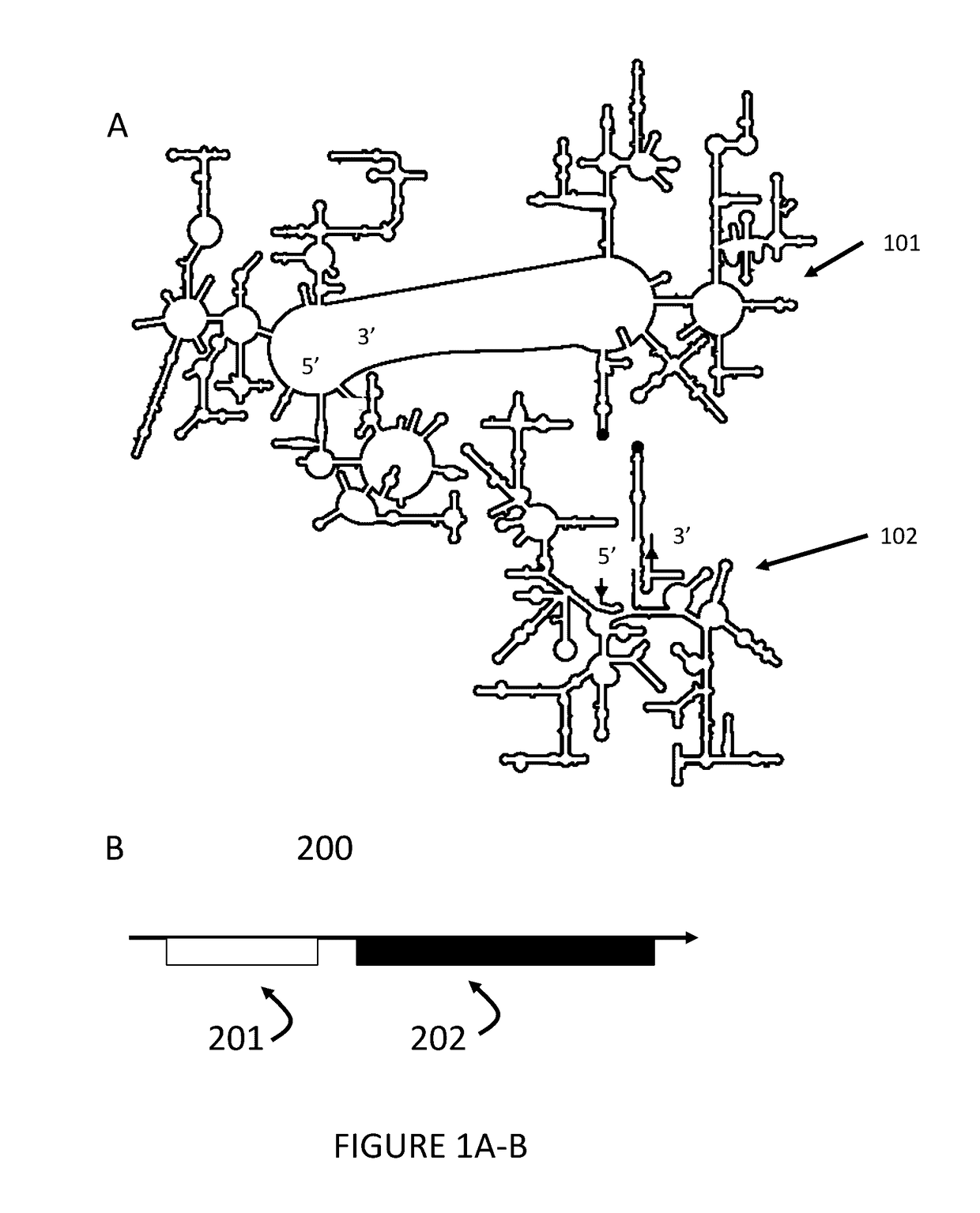 Ribosomes with tethered subunits