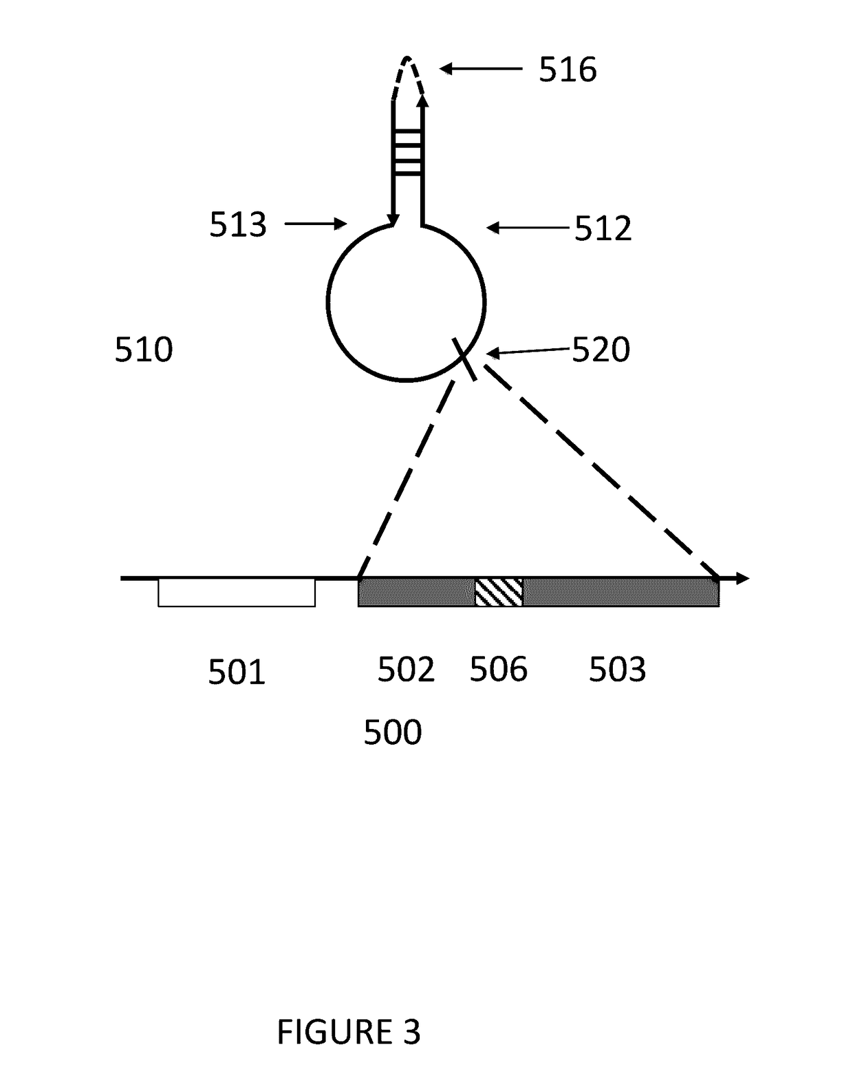 Ribosomes with tethered subunits