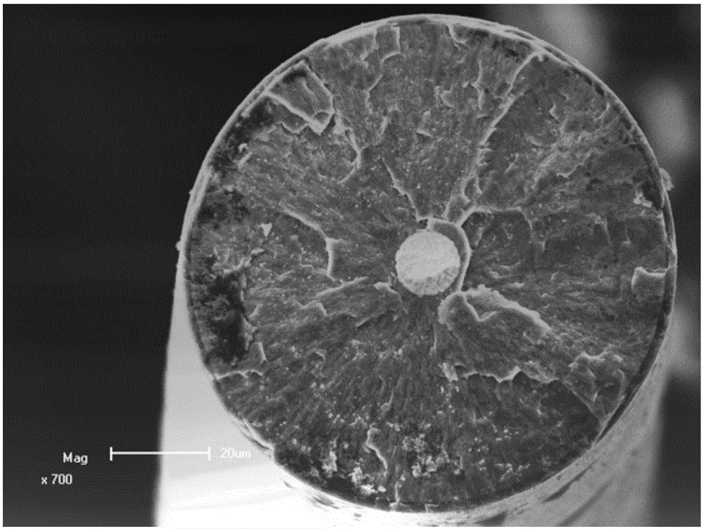 Short-process integral device and method for preparing continuous tungsten core SiC fibers by direct-current heating method