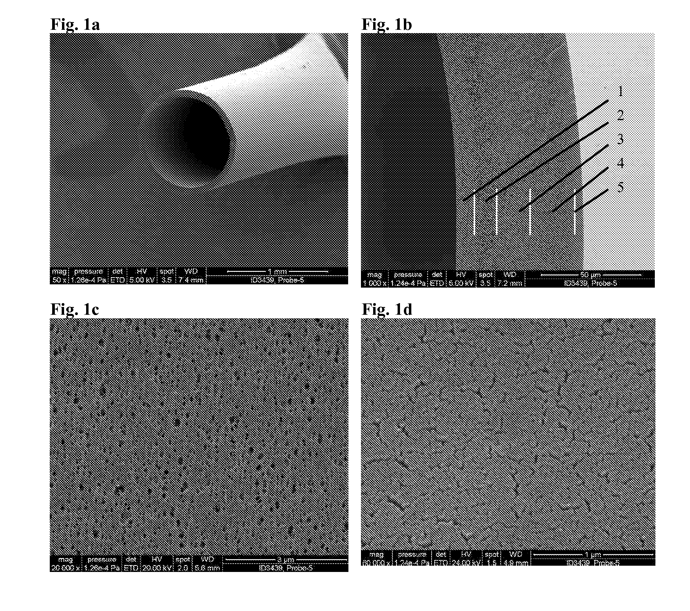 Hollow fiber membrane and method for manufacturing thereof