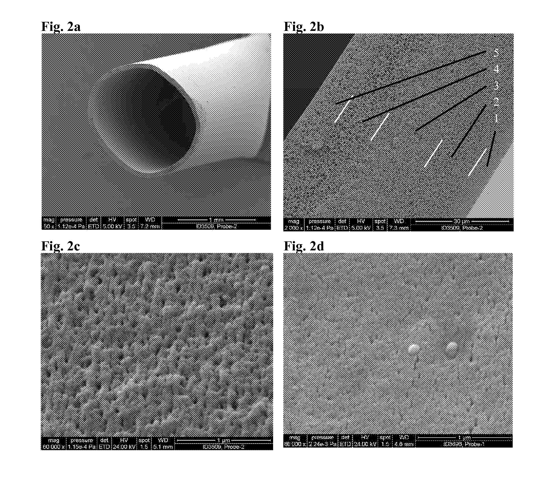 Hollow fiber membrane and method for manufacturing thereof