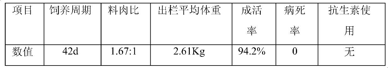 Bedding material-drinking water-disinfecting bacterium combined nonreactive cultivation method