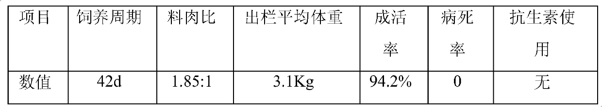 Bedding material-drinking water-disinfecting bacterium combined nonreactive cultivation method