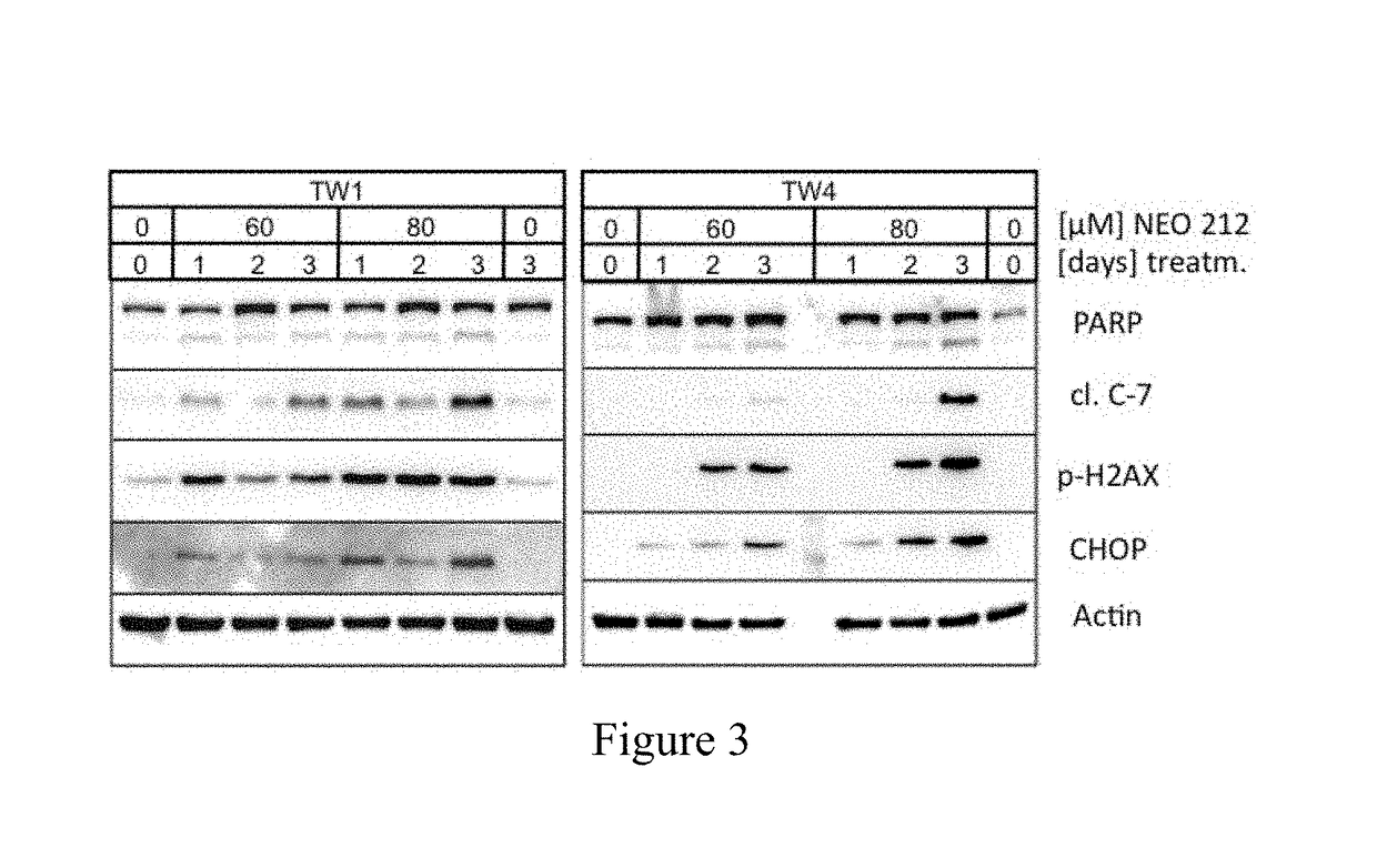 Method of treating nasopharyngeal carcinoma using perillyl alcohol derivative