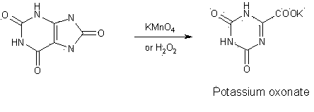 Synthesis technology for preparing oteracil potassium