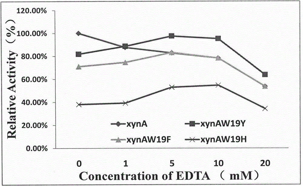 Recombinant basic xylanase resistant to chelating agent ethylenediamine tetraacetic acid and construction method thereof