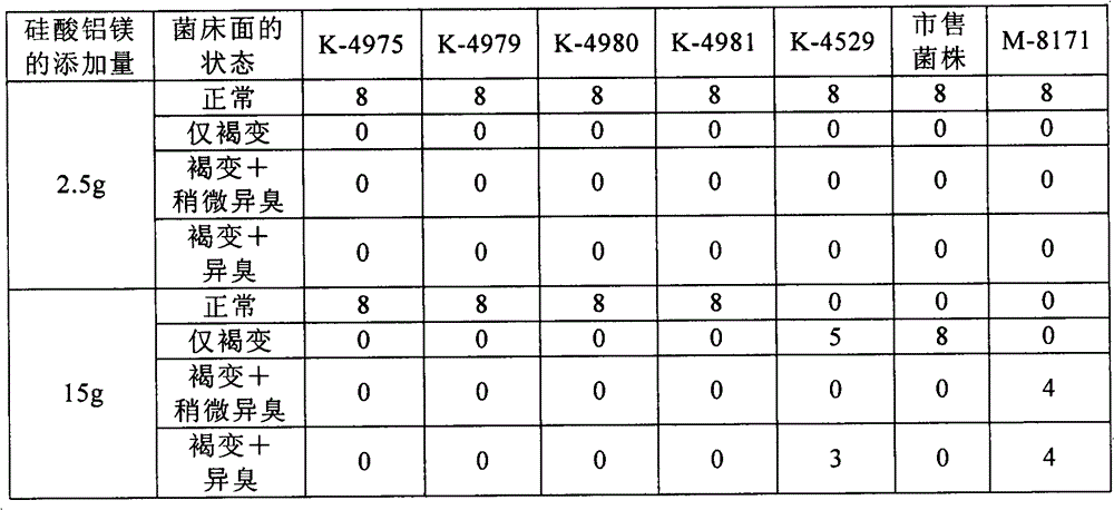 Production method of jiji mushroom strain and jiji mushroom fruiting body