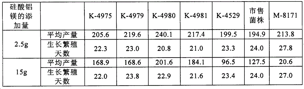 Production method of jiji mushroom strain and jiji mushroom fruiting body