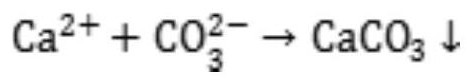 Calcium sulfate whisker and production method of raw material calcium sulfate thereof