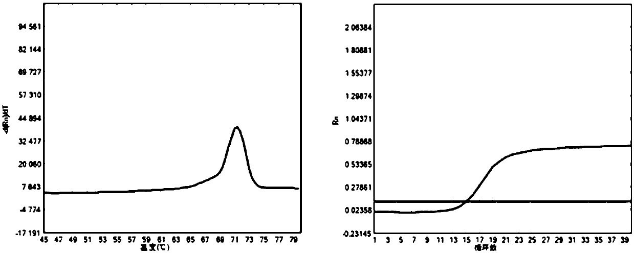 Primer set and kit for detecting four mutations of SLC25A13 gene and application thereof