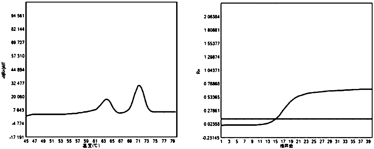 Primer set and kit for detecting four mutations of SLC25A13 gene and application thereof