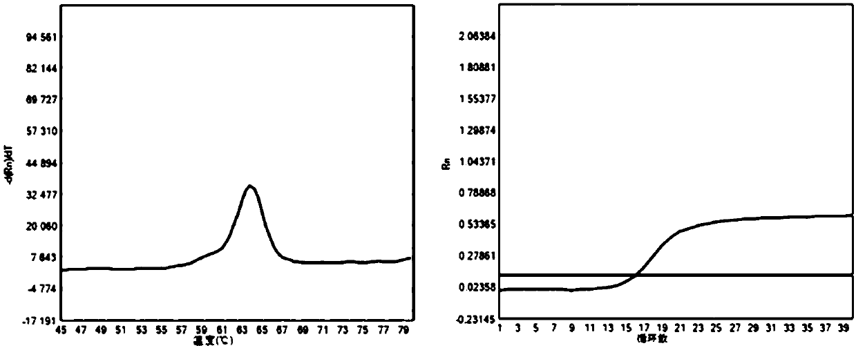 Primer set and kit for detecting four mutations of SLC25A13 gene and application thereof