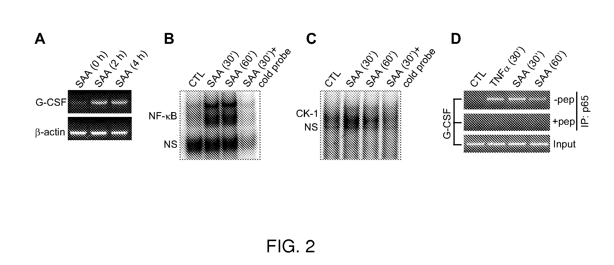 Toll-like receptor agonists and antagonists and methods of use thereof