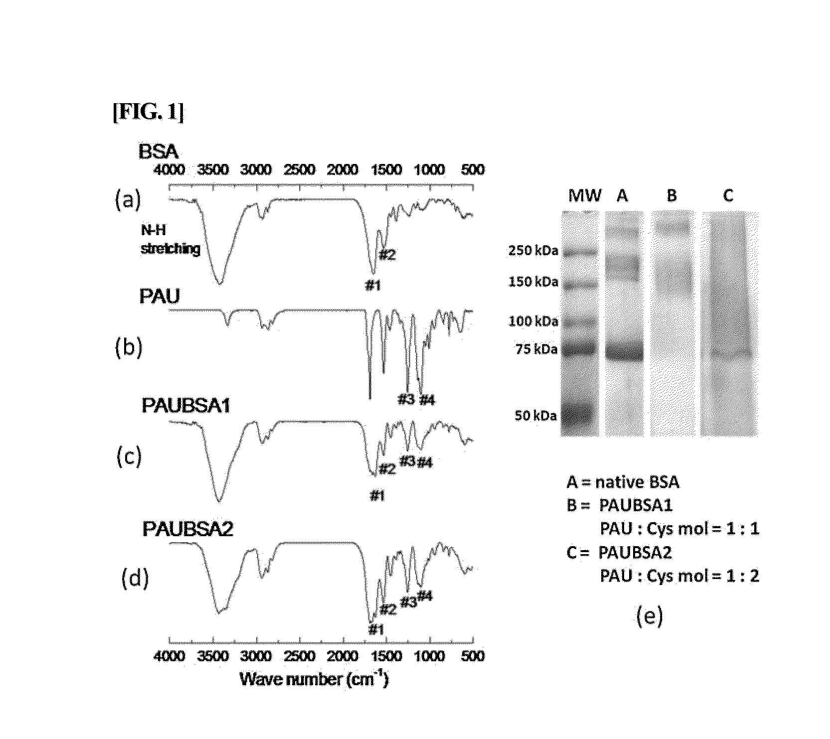 Albumin conjugated temperature and pH-sensitive multi-block copolymer, a method of preparation thereof and drug delivery system using the same