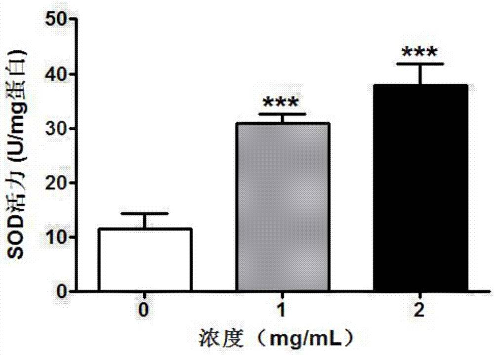 Mastra veneriformis polypeptide with in-vivo anti-oxidation and neuroprotection functions, and preparation method and application thereof