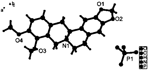 Tetrahydroberberine phosphate drug co-crystal and preparation method thereof