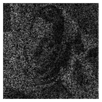 A Noise Image Completion Method Based on Weighted Slattern Norm Minimization