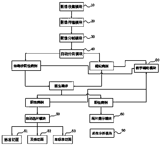 Artificial intelligence ultrasonic auxiliary system and application thereof