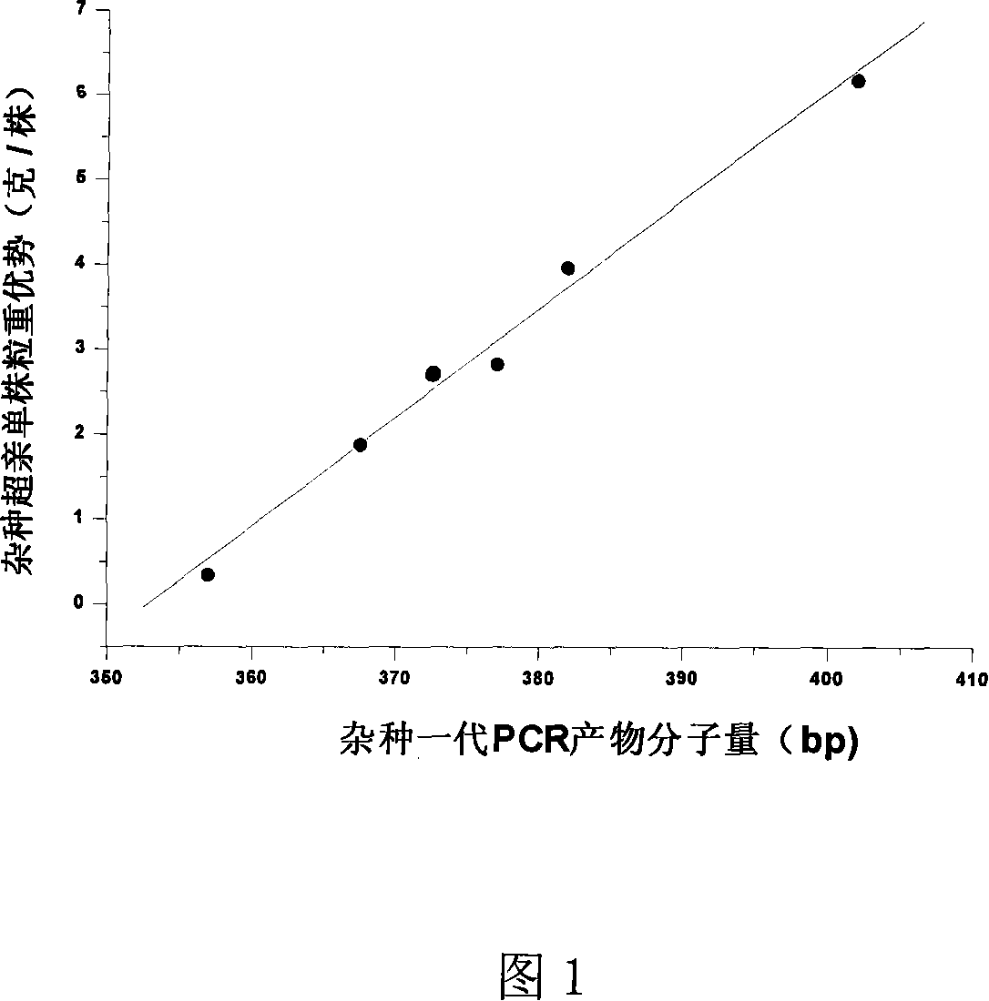 Prediction method of rice hybrid yield heterosis