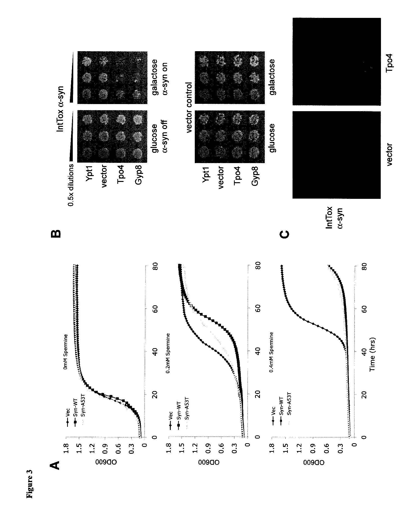 Polyamine inhibitors for the treatment and prevention of parkinson's disease