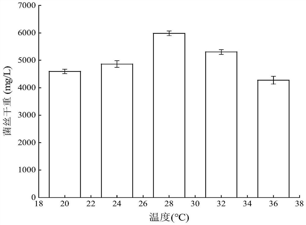 Endophytic fungus letendraea sp.WZ07 and its application in the synthesis of nano-silver