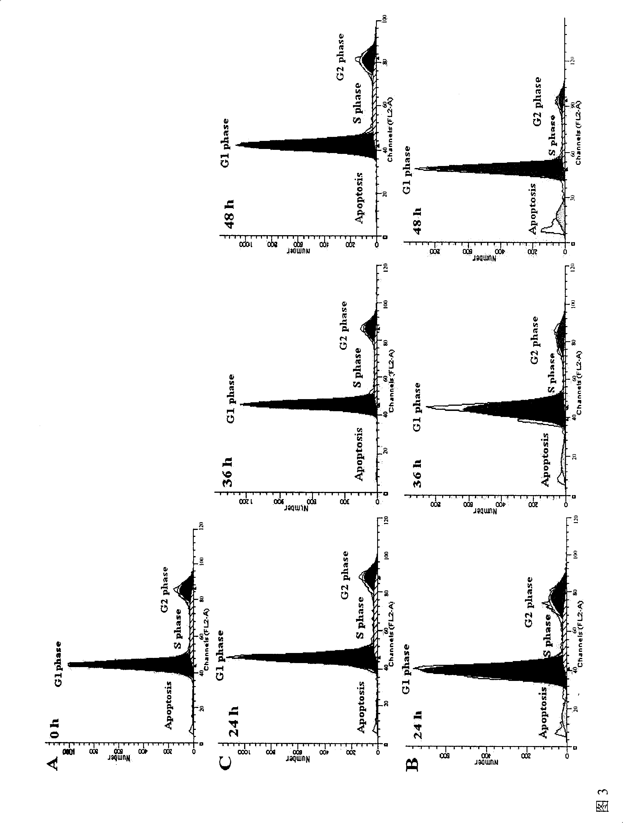 Application of Exenatide in preparing medicament for reversing activation of FFA to P53