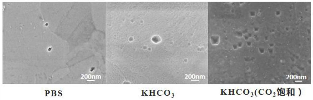 A co-based electrode solution system  <sub>2</sub> Electroreduction reaction control method