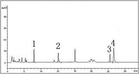 Preparation method and quality control method of coptis root detoxifcation soup particles