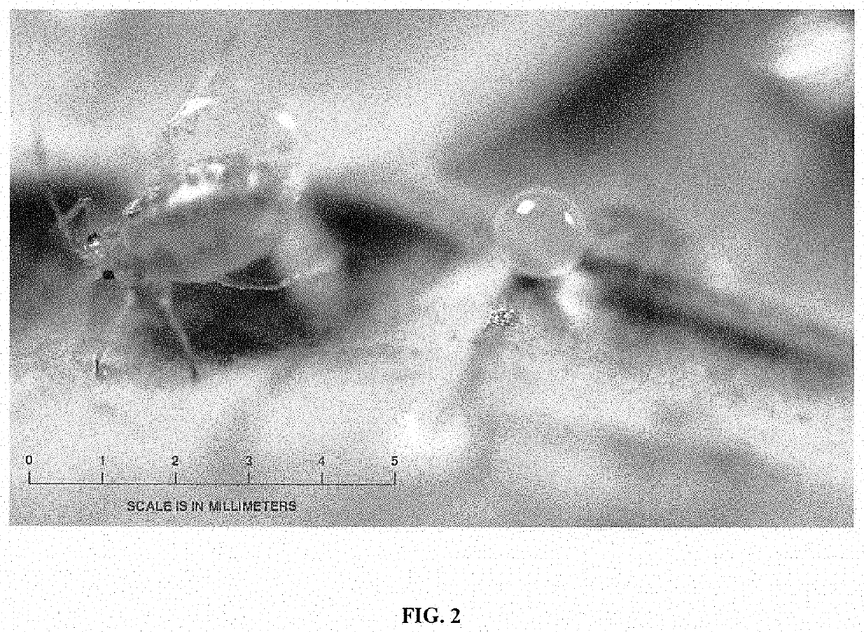 Pesticides and Methods of Use Thereof