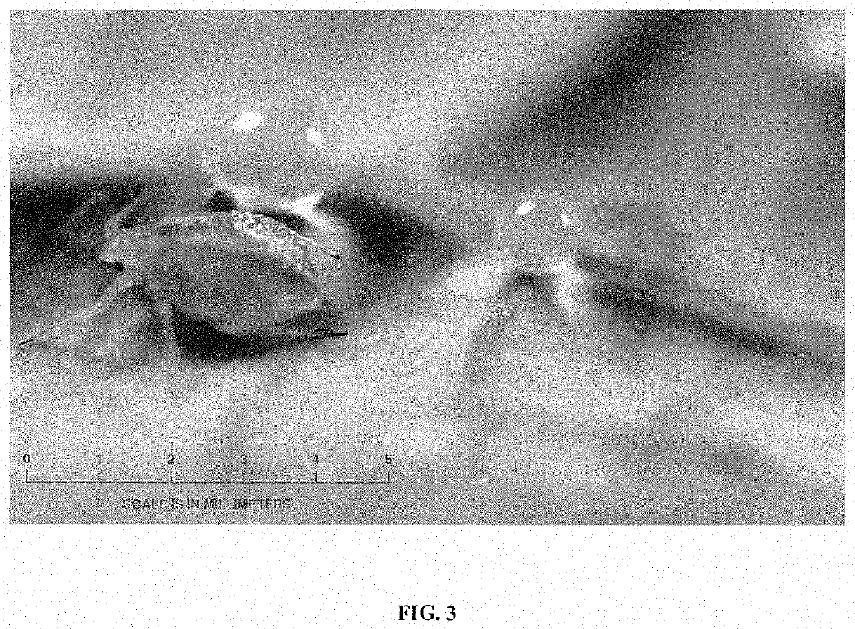 Pesticides and Methods of Use Thereof