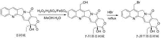 Camptothecin compound, and preparation method and application thereof