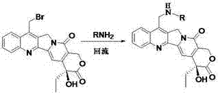 Camptothecin compound, and preparation method and application thereof