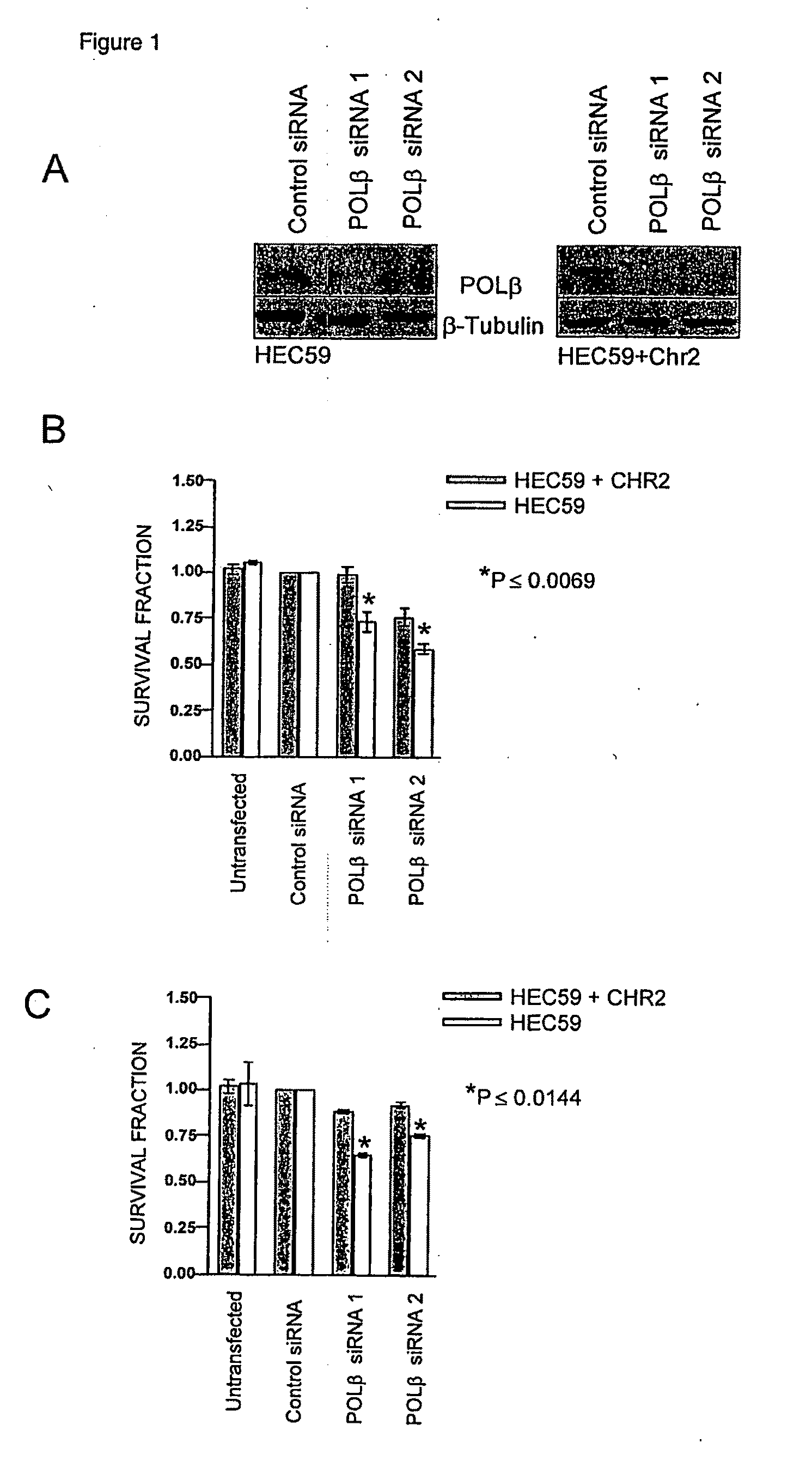 Materials and methods for exploiting synthetic lethality in mismatch repair-deficient cancers