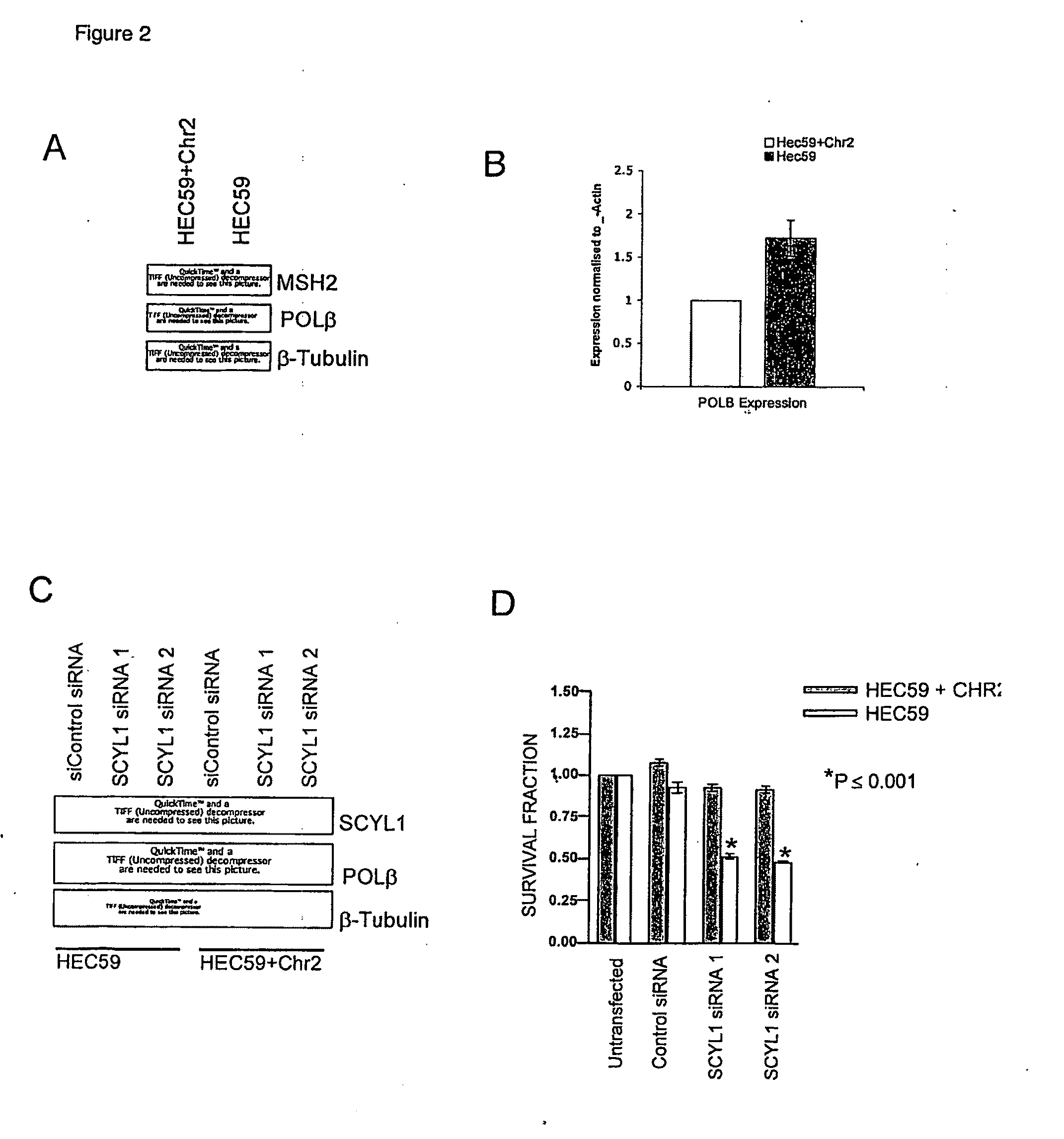 Materials and methods for exploiting synthetic lethality in mismatch repair-deficient cancers