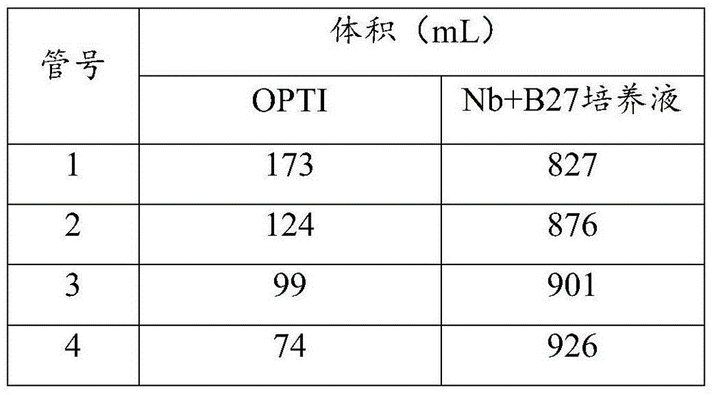 Method for separating and culturing trigeminal root ganglion neurons of mammal in vitro and application of method