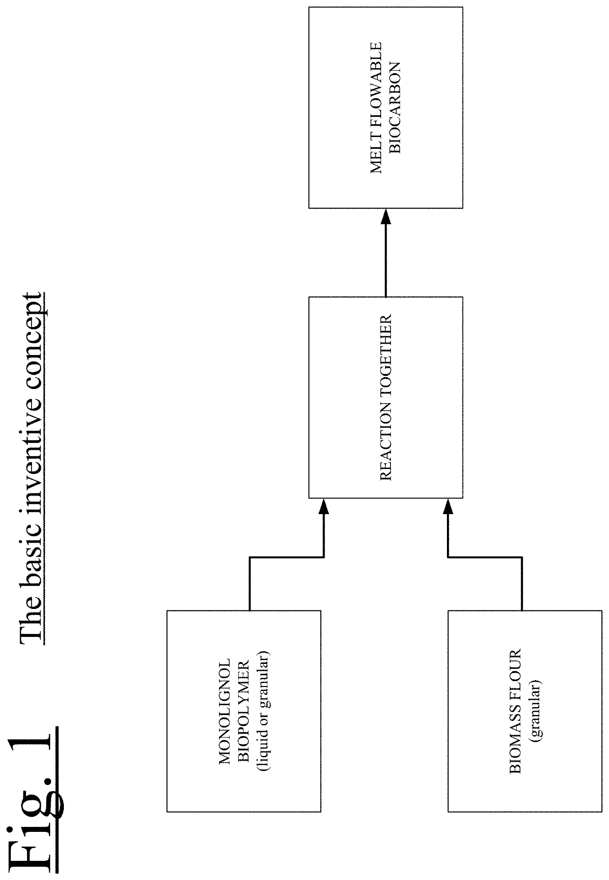 Melt flowable biocarbon and method of making same