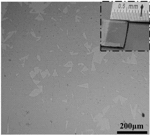 Preparation method of few-layer MoS2 thin film