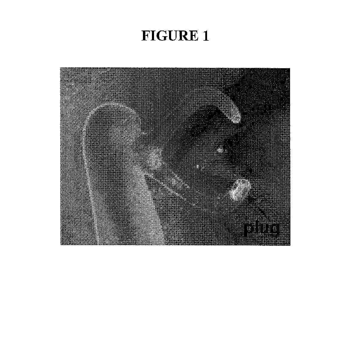 Lacrimal system drug delivery device