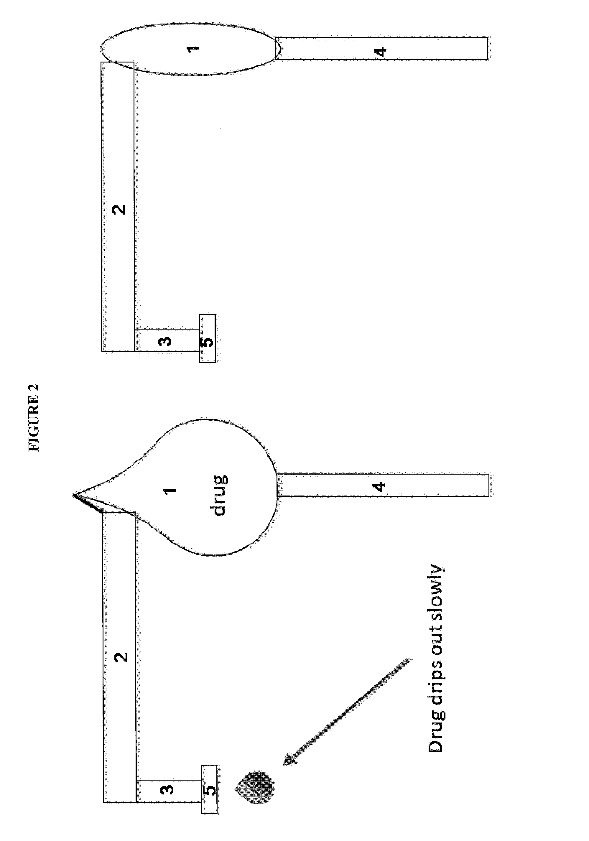 Lacrimal system drug delivery device