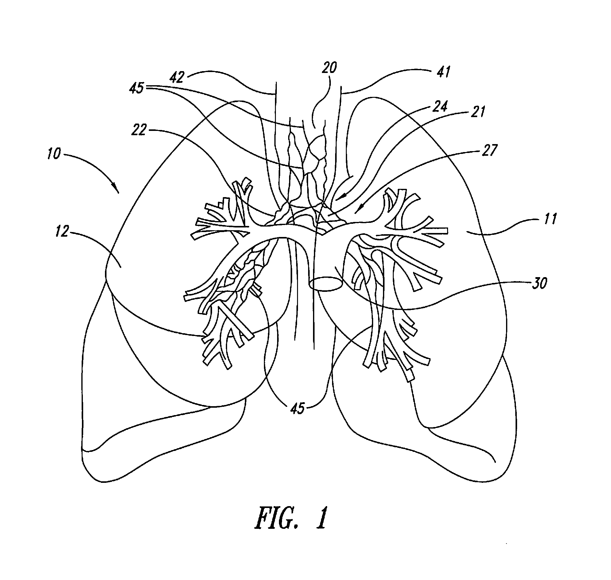 Methods for improving drug efficacy including a combination of drug administration and nerve modulation