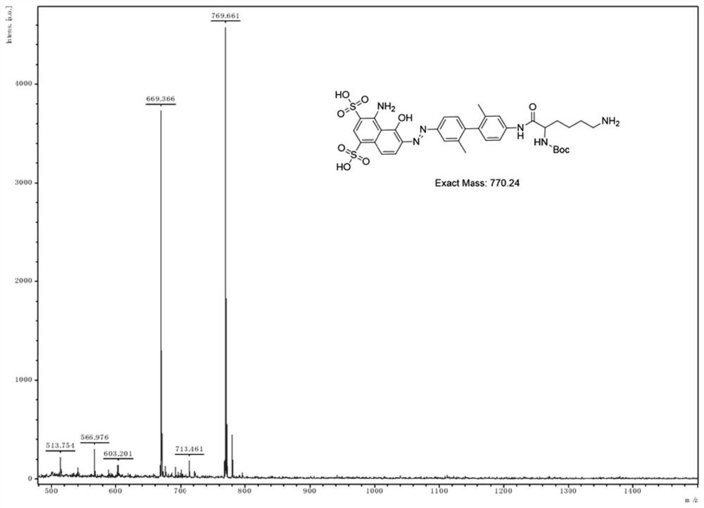 Therapeutic drug targeting fibroblast activating protein and preparation method thereof