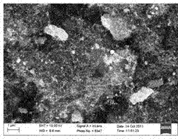 Method for removing mercury ions from water by using silver-modified magnetic carbon nanotube and regeneration method