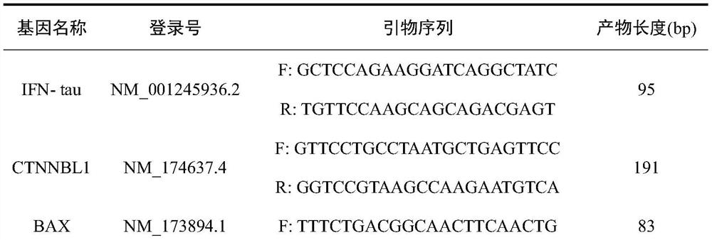 Efficient vitrification freezing method for bovine in-vitro embryo production