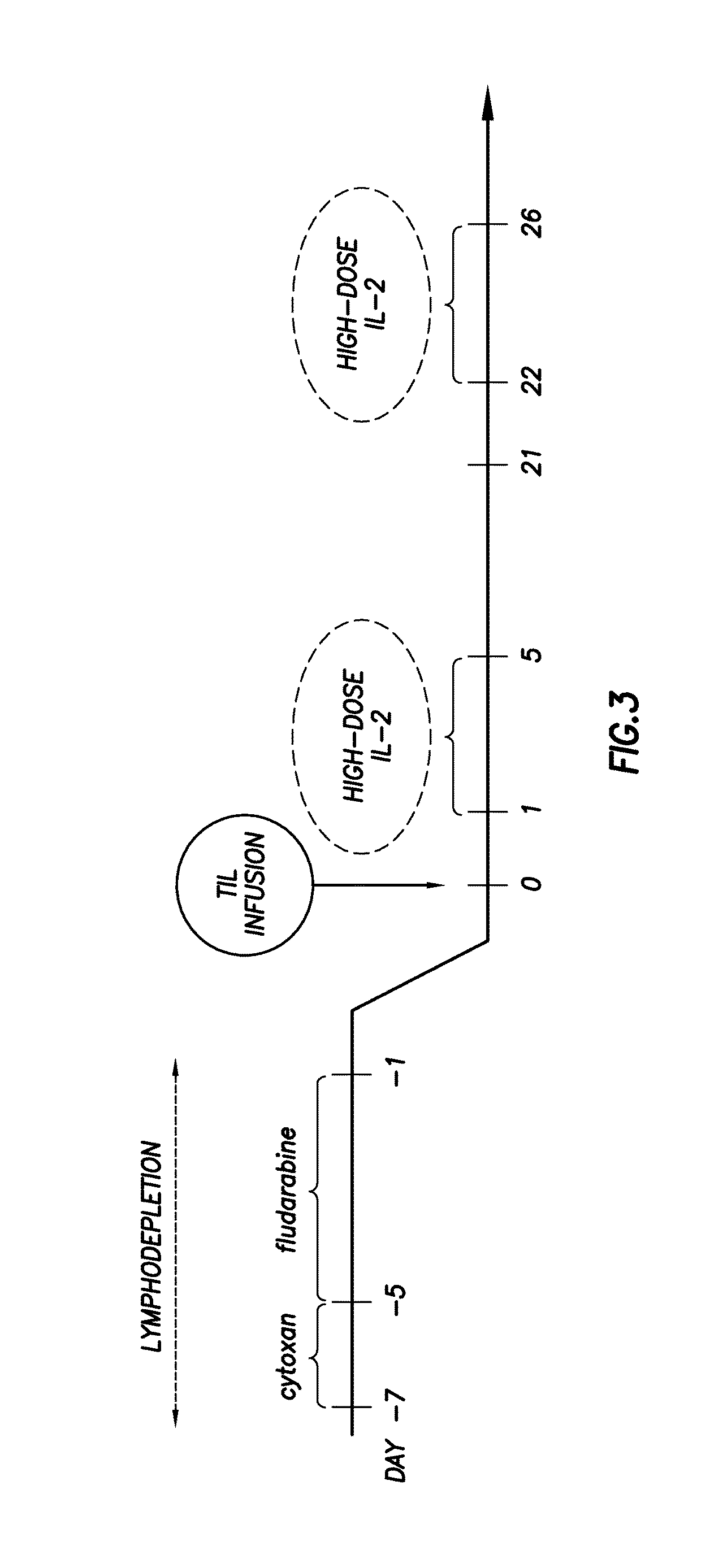 B and T lymphocyte attenuator marker for use in adoptive T-cell therapy