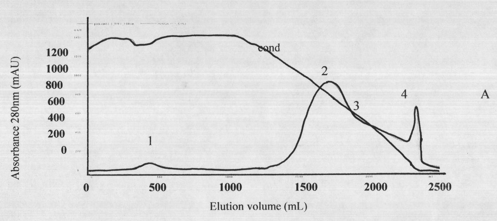 Lyophilized viper antivenin and preparation method thereof