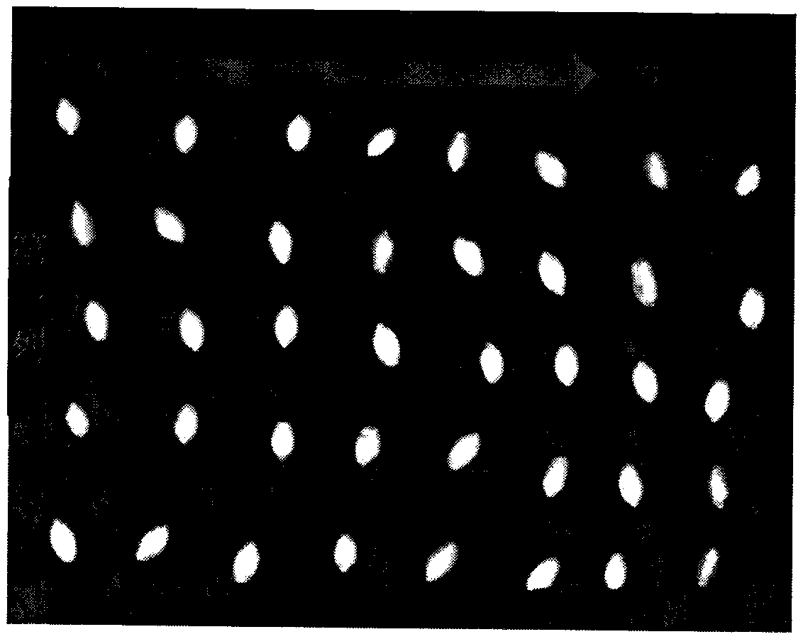 Single-grain fixed-point recognition technology by aiming at different categories of wheat seeds