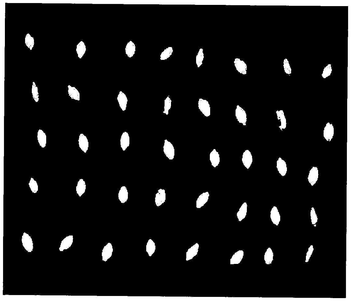 Single-grain fixed-point recognition technology by aiming at different categories of wheat seeds